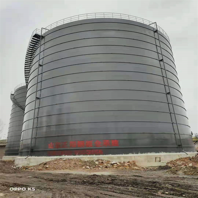 保亭3万吨大型钢板库