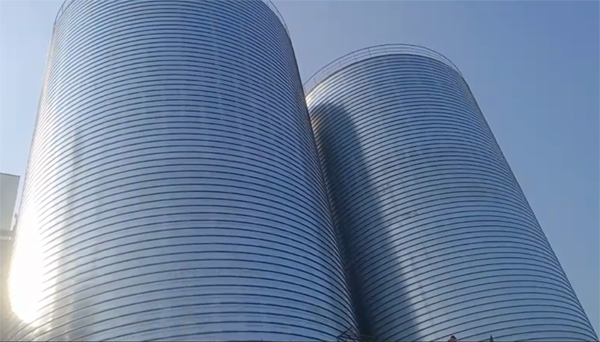 保亭2座混凝土高架卷板仓